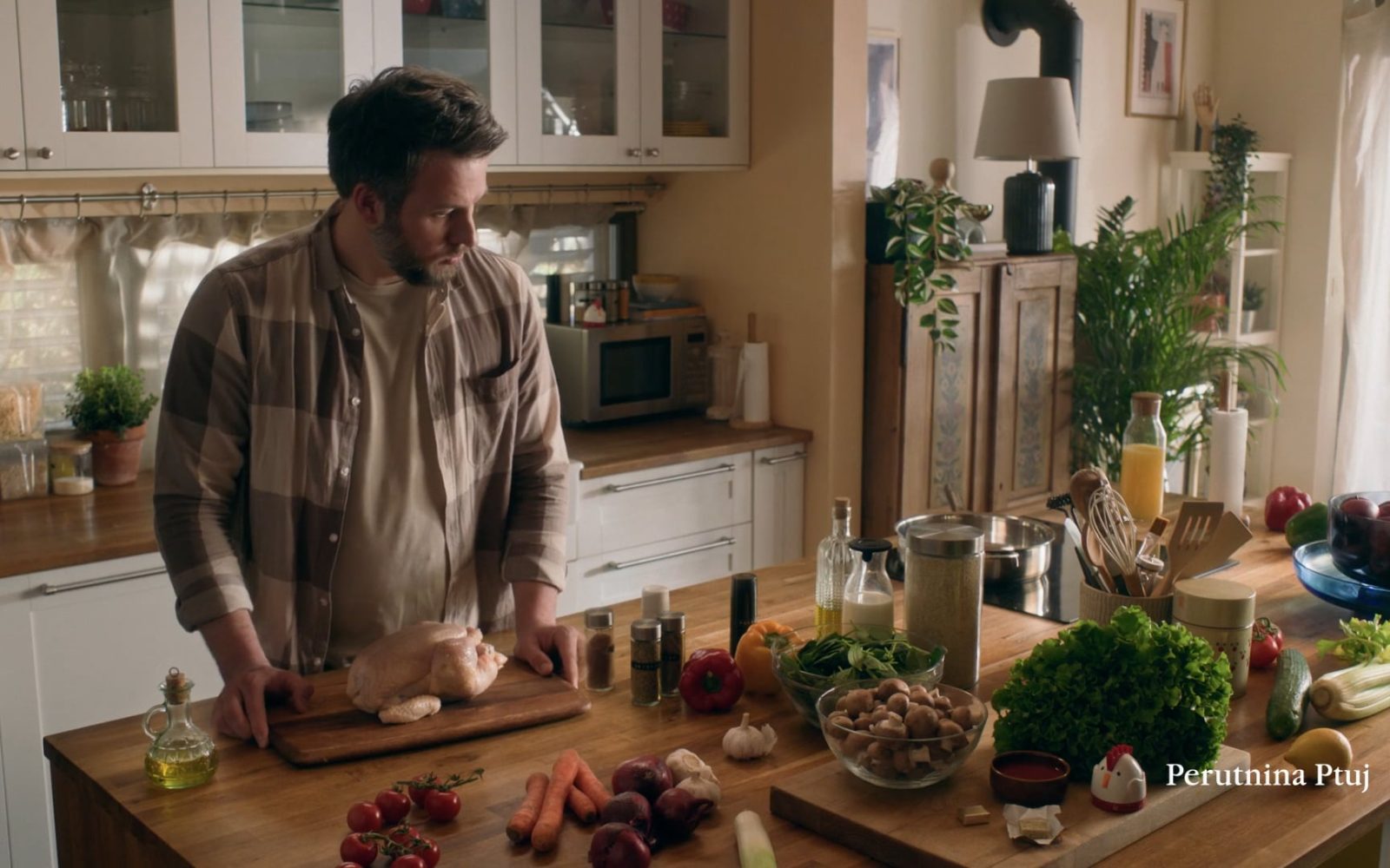 Perutnina Ptuj - Perfect TVC + DIG
